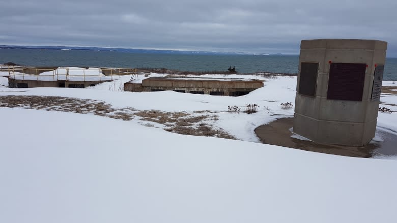 'We'll continue to fight': Fort Petrie operator fires back at vandals targeting WW II site