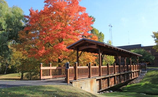 The bridge on the Lakeshore Technical College campus shown during the fall season.