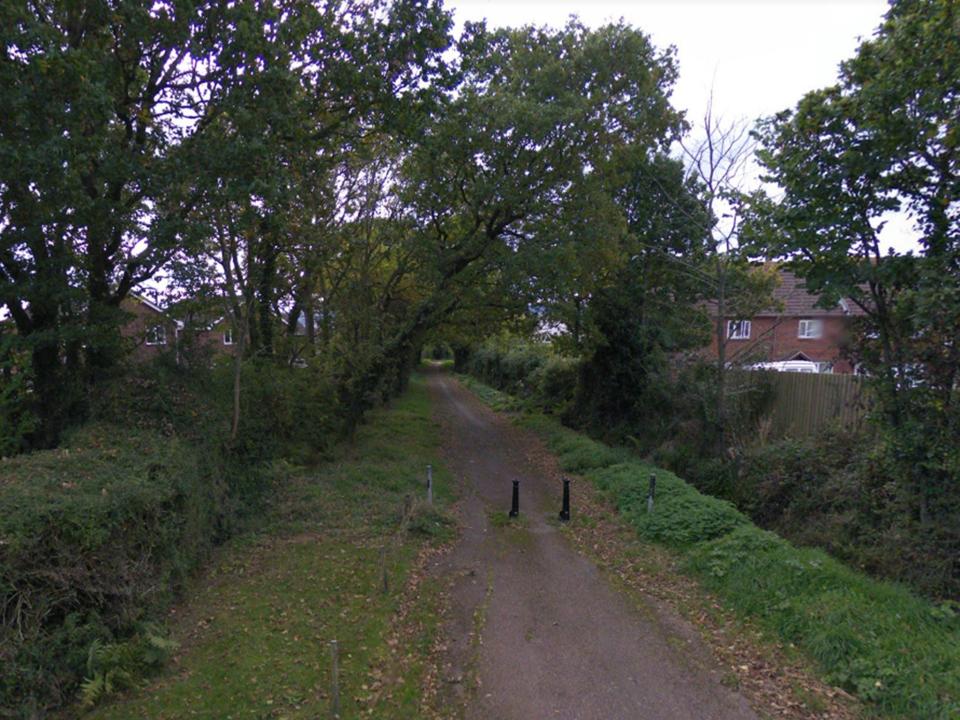 The attack happened in Marley Road, Exmouth: Google Streetview