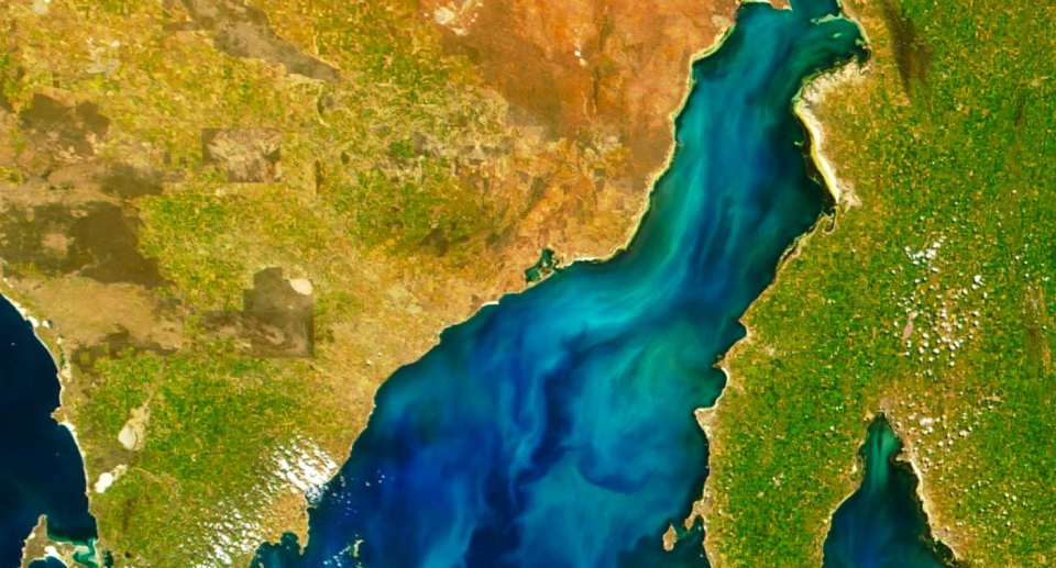 A satellite map shows phytoplankton blooming across the Spencer Gulf.