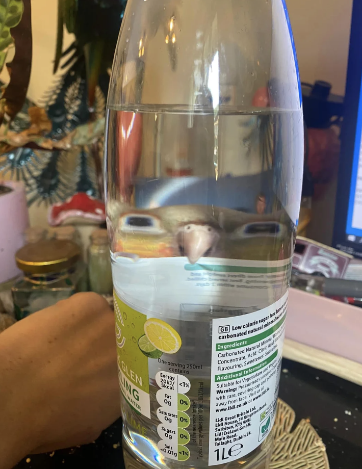 Bottle of sparkling water with a person’s face amusingly distorted through the bottle's water. Desk items and part of a monitor are visible in the background