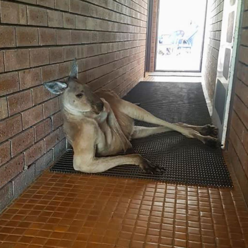 She was confronted by this guy outside of the loos. Photo: Caters News