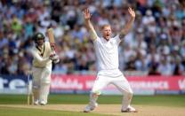 England's Ben Stokes appeals against Australia's Nathan Lyon at the Investec Ashes Test Series Third Test at Edgbaston on 31 July, 2015. Reuters / Philip Brown Livepic