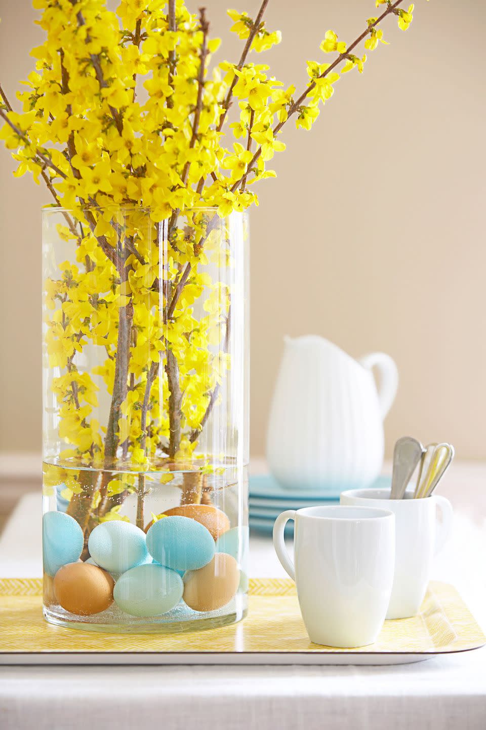 Forsythia Display