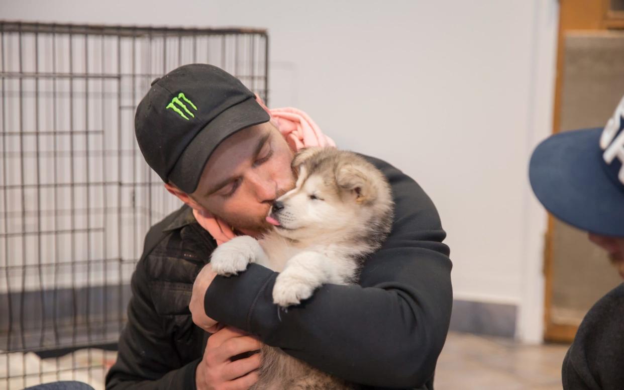 Gus Kenworthy reunites with his dog Beemo, a dog he rescued from a dog meat farm in South Korea, at the SPCA Montreal Annexe, in Montreal, Quebec - Dario Ayala / The Humane Society