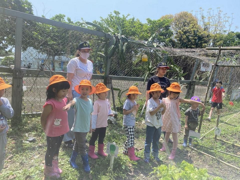 臺東縣忠孝國小附幼體驗傳統農法，學習老祖先的智慧 (教育部提供)