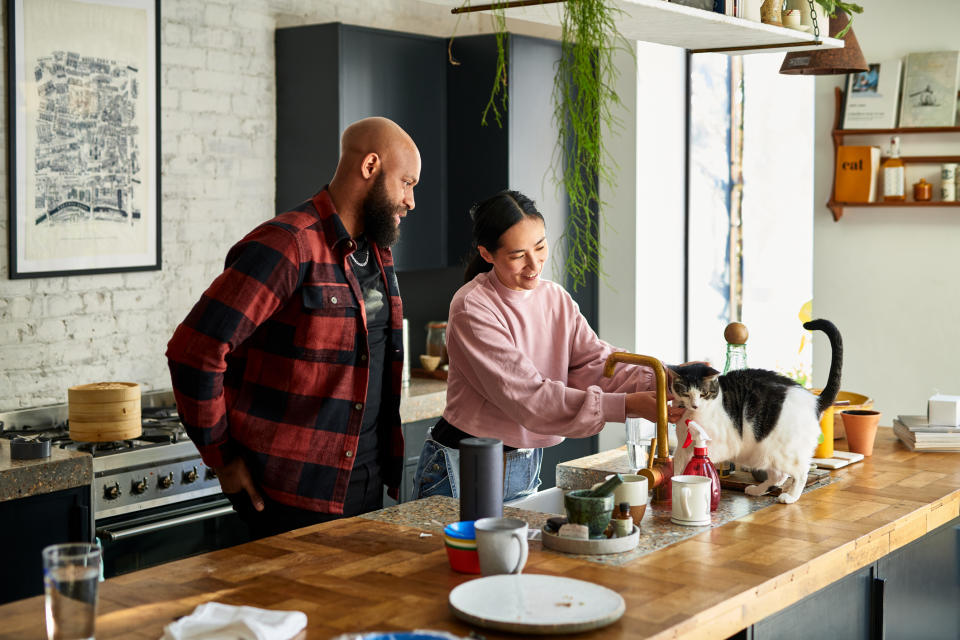 Mid adult partners with pet cat on kitchen counter