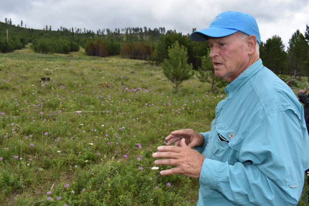 Former U.S. Forest Service Deputy Chief Jim Furnish tours a recent logging project in South Dakota's Black Hills National Forest on July 14, 2021.