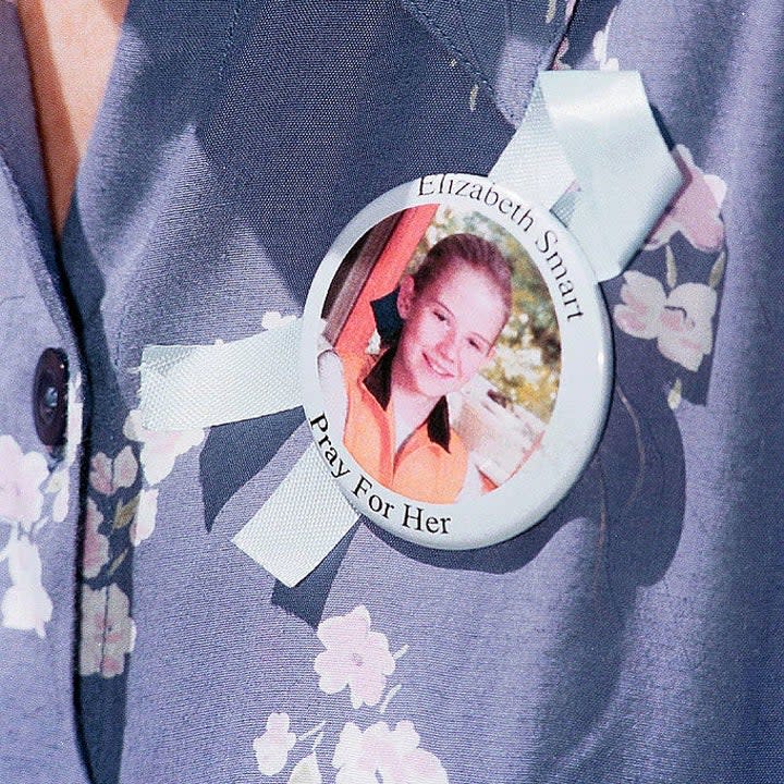 An Elizabeth Smart pin