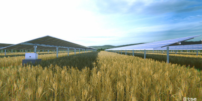 Soltec y TSE se unen para revolucionar la Agrivoltaica en Francia