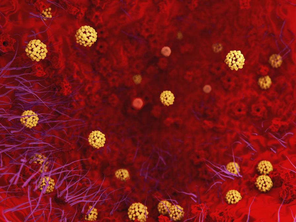 Artwork of the severe acute respiratory syndrome (SARS) virus. (Science Photo Library via Getty Images)