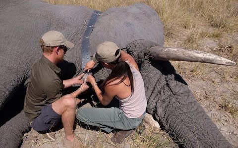 Prince Harry and Meghan Markle in Botswana in 2017 - Credit: Instagram