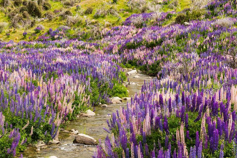 林迪斯山口（Image Source : Getty Creative/iStockphoto）