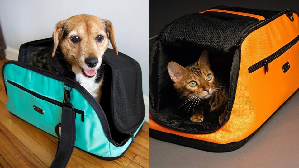 The best gifts for travelers: Sleepypod Air In-Cabin Pet Carrier