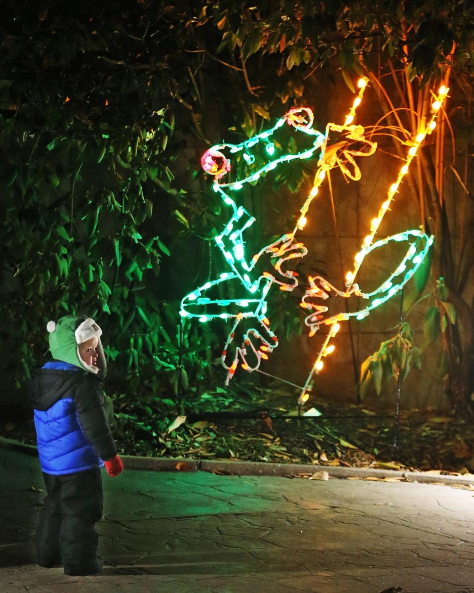 Benjamin Borkowski, 2 stops at a tree frog light display during the Wishes Can Happen family event at the Akron Zoo on Saturday.