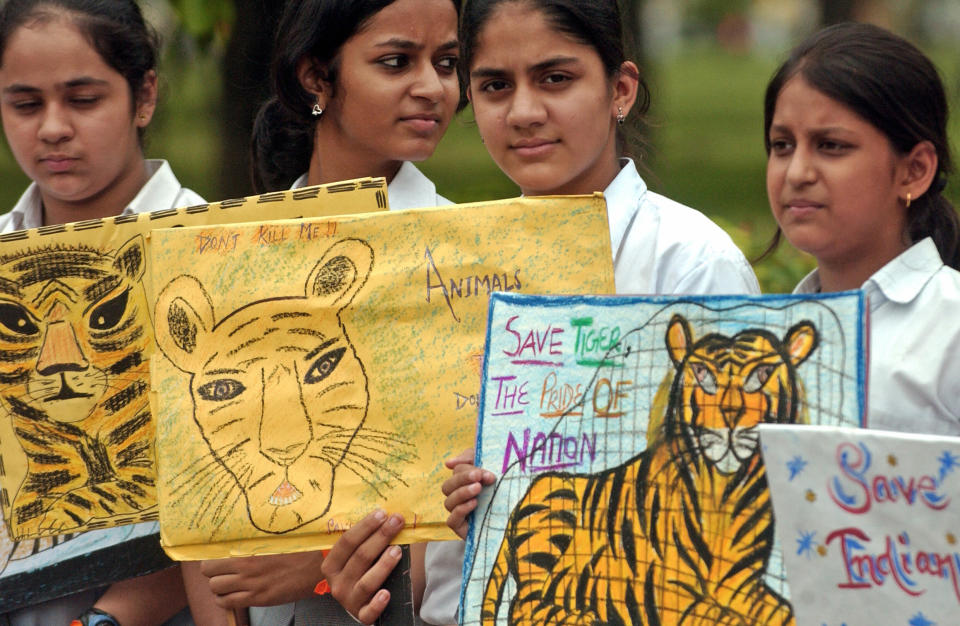 Indian school children hold placards during a rally held to raise awareness for the protection of tigers and forests in India, in New Delhi, July 11, 2006.