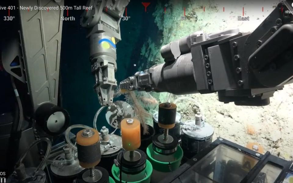 The robot is equipped with arms to take samples on its dive - Schmidt Ocean Institute