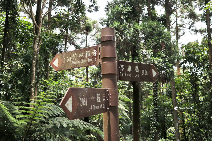 五指山橫向步道