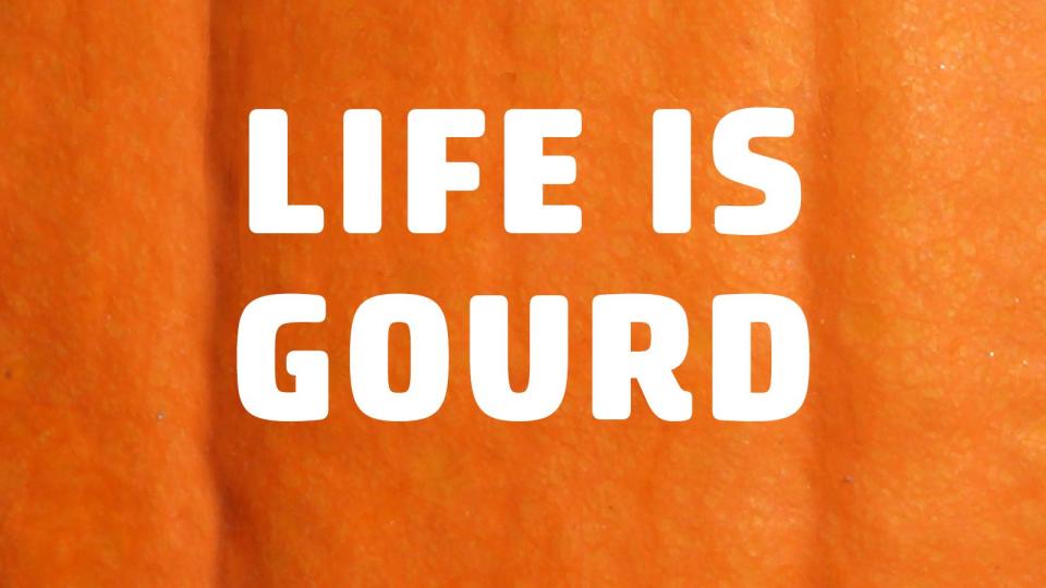 pumpkin puns life is gourd