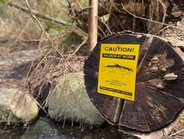 The City of Coquitlam's sensitive salmon habitat has come under threat recently from vandals and extra traffic. (City of Coquitlam  - image credit)