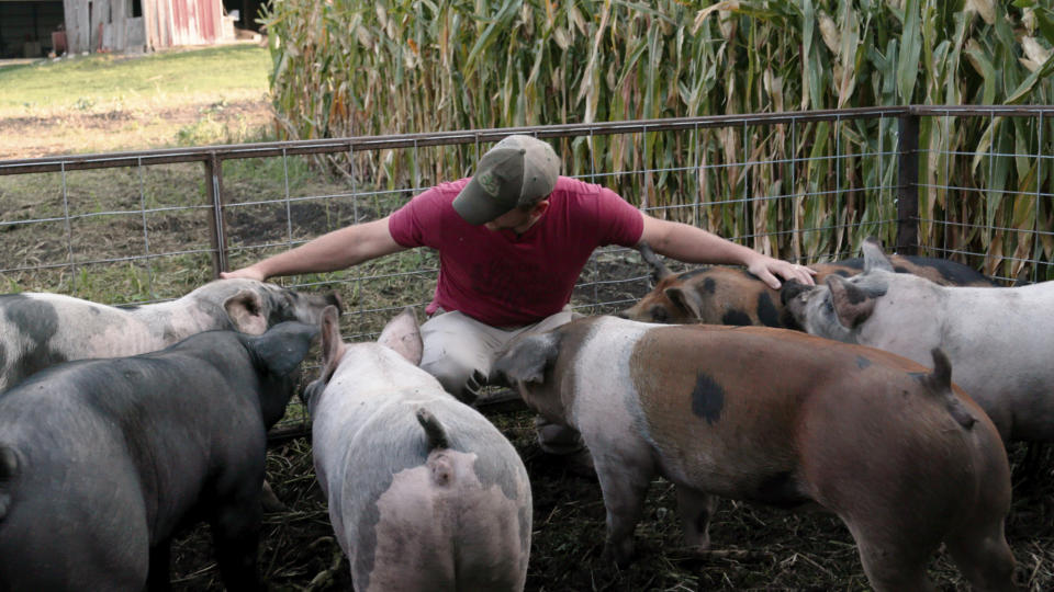 This image released by Magnolia Pictures shows a scene from the documentary "Food, Inc. 2." (River Road/Participant/Magnolia Pictures via AP)