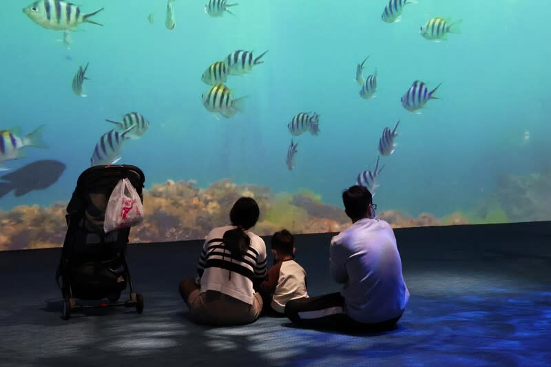 地球日  科博館呈現館藏期待民眾探索生物奧秘 國立自然科學博物館表示，22日世界地球日是全球性 環境保護倡議運動，科博館藉此呈現館內研究、蒐 藏、科學教育等面向，期待民眾前來探索各種生物奧 秘。 （國立自然科學博物館提供） 中央社記者趙麗妍傳真  113年4月22日 