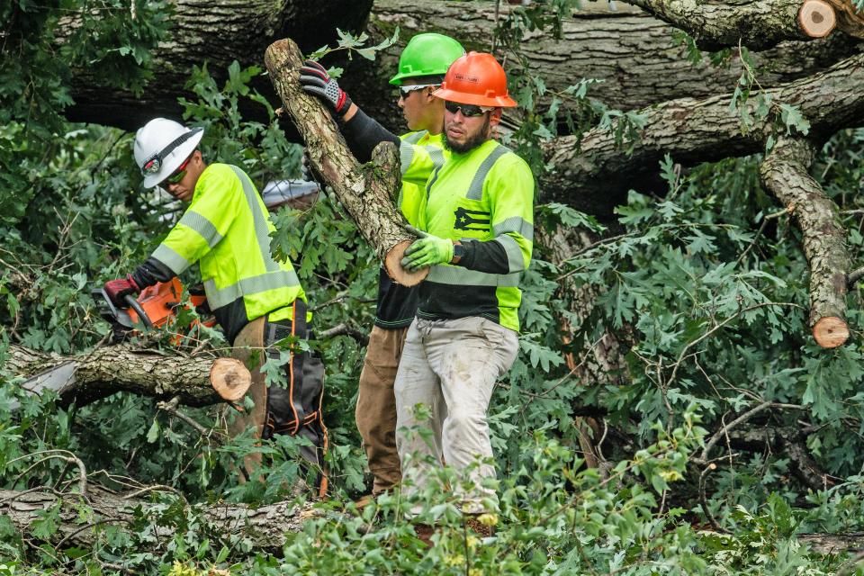 Workers cut down and remove fallen trees in Cherokee Woods in Ogletown, Tuesday, Aug. 8, 2023, after a severe storm hit the day before.