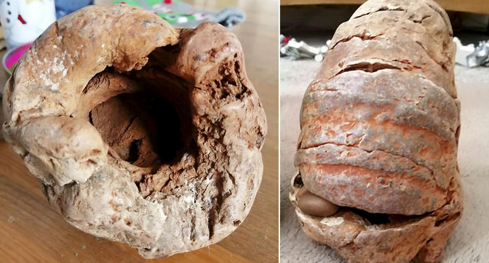 The mother and daughter thought the grenade was some kind of fossil or bone. (SWNS)