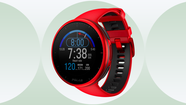 POLAR Vantage M (Red, Med/Large) – The Wearables Store