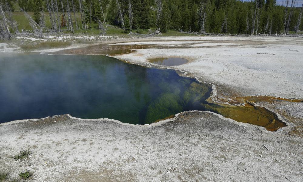 <span>Photograph: Diane Renkin/AP</span>