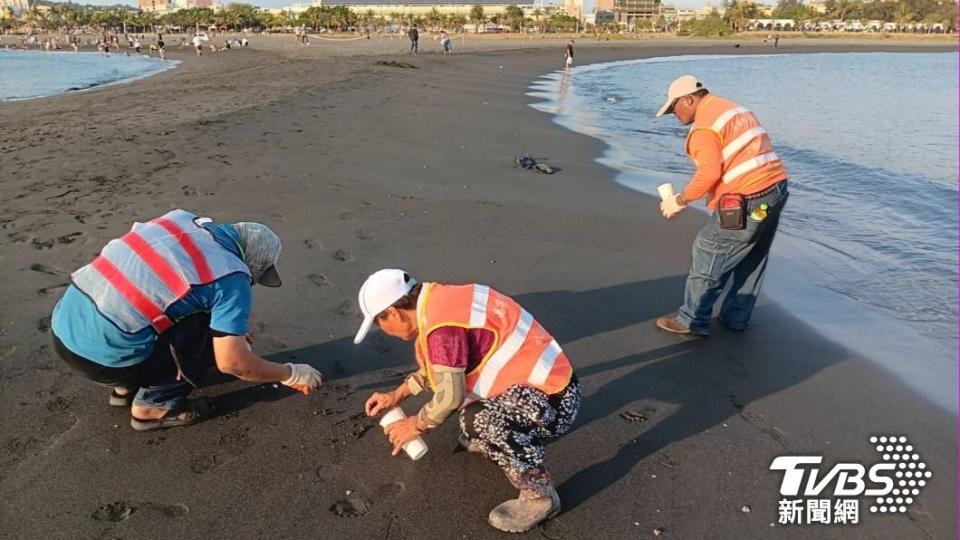 觀光局委外清潔廠商進行旗津海水浴場的油泥塊清除作業。（圖／TVBS）