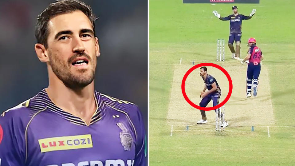 Mitchell Starc, pictured here in the IPL.