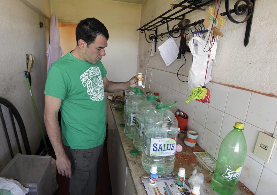 National market for legal pot in Uruguay