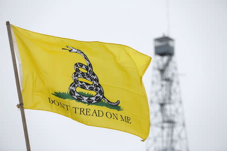 A Gadsden flag flies at the Malheur National Wildlife Refuge near Burns, Oregon, January 10, 2016. REUTERS/Jim Urquhart