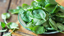 <p> If you're wondering what to blend into your smoothie, then spinach makes a super-hydrating ingredient - at around 93 per cent water. However, it is also a rich source of magnesium, with a <a href="https://link.springer.com/article/10.1007/s00394-023-03123-x" rel="nofollow noopener" target="_blank" data-ylk="slk:study;elm:context_link;itc:0;sec:content-canvas" class="link ">study</a> showing that those with a diet high in the mineral had less age-related brain shrinkage - and the effects were especially pronounced in post-menopausal women. </p>