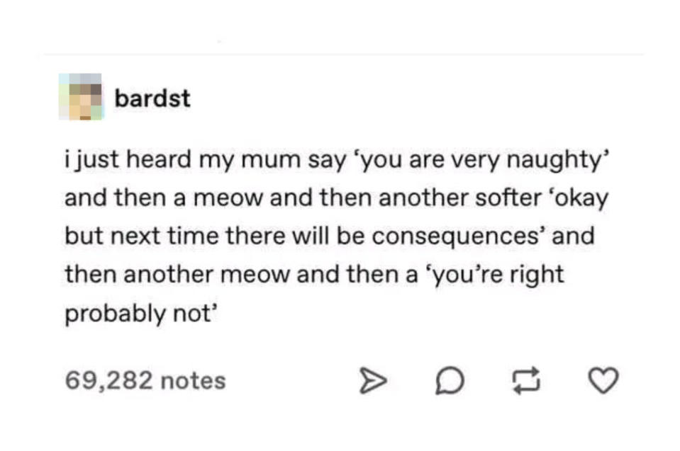 A text post by bardst detailing a humorous conversation between their mum and a cat, consisting of mock scolding and the cat meowing back with soft responses. 69,282 notes