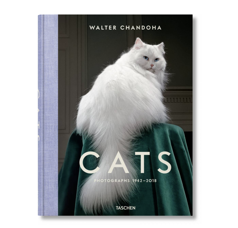 Walter Chandoha: Cats Photographs 1942–2018