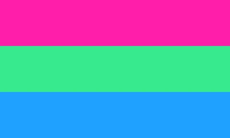 9) Polysexual Flag