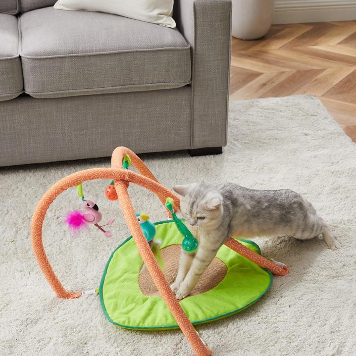 Outward Hound, which specializes in interactive toys, brings you the Jungle Mat Cat