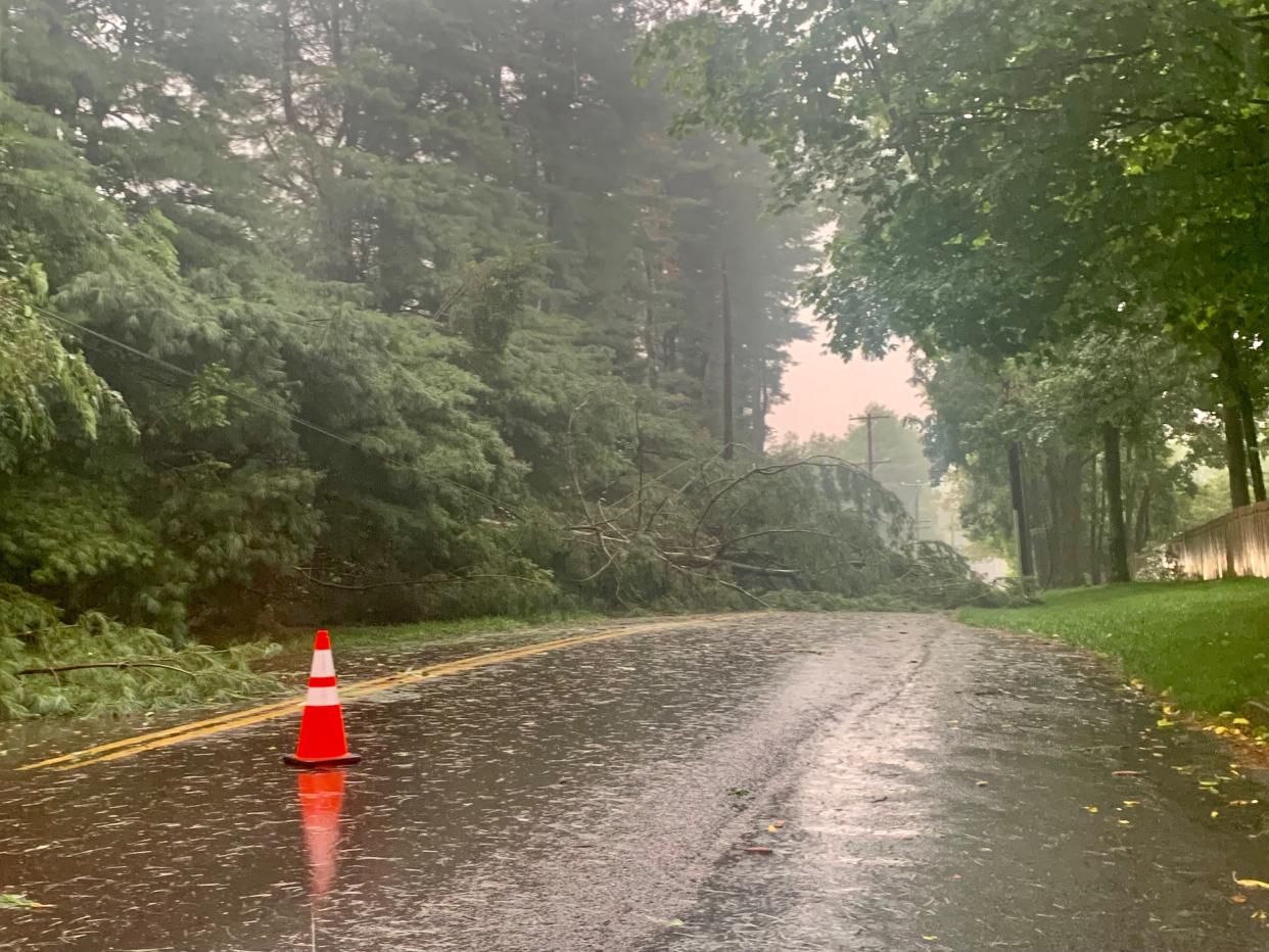 A felled tree blocks Aquetong Road in Solebury Thursday evening after a tornado ripped through the area. The road was blocked off to traffic between Mechanicsville Road and State Route 263 as emergency workers dealt with the storm.