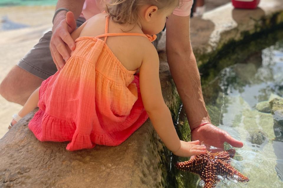 A father and daughter touch a starfish at a coral nursery in the Bahamas