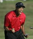 <p>When Woods won the 2008 U.S. Open on an injured knee, he collected his 14th major victory. At the time, he was 32 and seemingly at the top of his game. Little did the world know what was going on behind the scenes. </p>