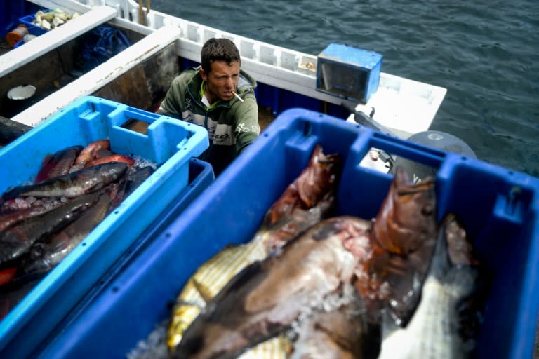Stricter catch quotas proposed to protect decreasing Atlantic fish populations have angered the fishing industry in Portugal as the restrictions would apply to sardines, virtually the national dish