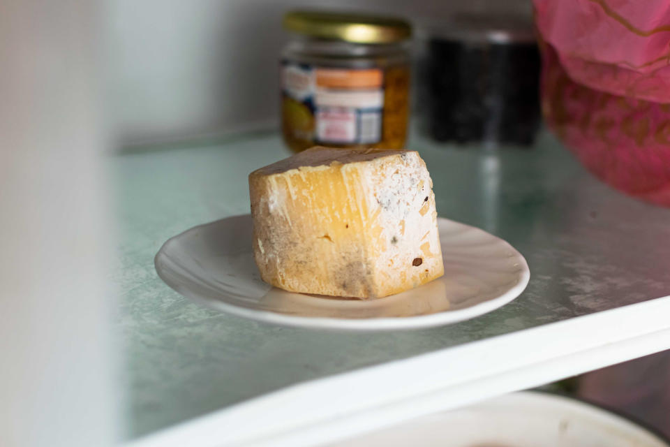 A block of cheese with some mold.