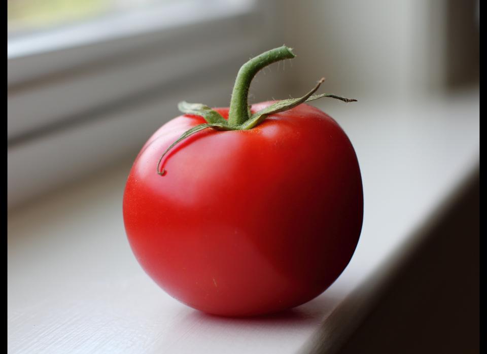 The <a href="http://californiaagriculture.ucanr.org/landingpage.cfm?article=ca.v054n04p6&fulltext=yes" target="_hplink">Flavr Savr tomato</a> was the first commercially grown genetically engineered food to be granted a license for human consumption. By adding an antisense gene, the <a href="http://www.mnn.com/local-reports/california" target="_hplink">California</a>-based company Calgene hoped to slow the ripening process of the tomato to prevent softening and rotting, while allowing the tomato to retain its natural flavor and color.   The FDA approved the Flavr Savr in 1994; however, the tomatoes were so delicate that they were difficult to transport, and they were off the market by 1997. On top of production and shipping problems, the tomatoes were also reported to have a very bland taste: “The Flavr Savr tomatoes didn’t taste that good because of the variety from which they were developed. There was very little flavor to save,” said Christ Watkins, a horticulture professor at Cornell University.
