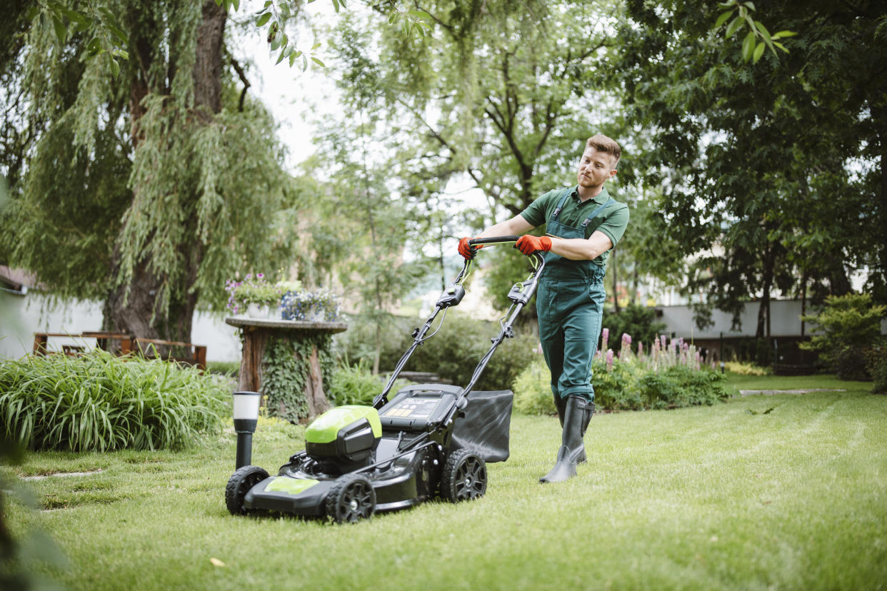 Full length gardener mows the lawn with a mower in beautiful garden, Greenworks 13 Amp 21-Inch Corded Lawn Mower 25112
