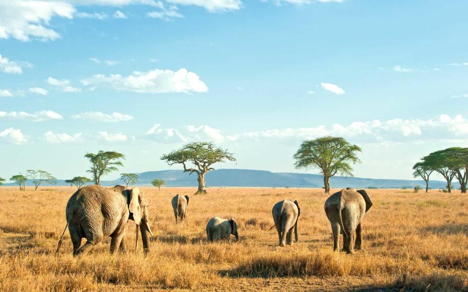 The 2018 World's Best Safari Outfitters