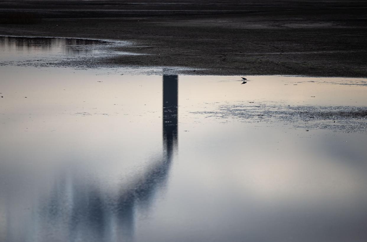 A killdeer feeds in the shallow layer of water on City Water, Light and Power's Dallman coal ash pond across from Lake Springfield along East Lake Shore Drive in Springfield in this file photo from 2021.