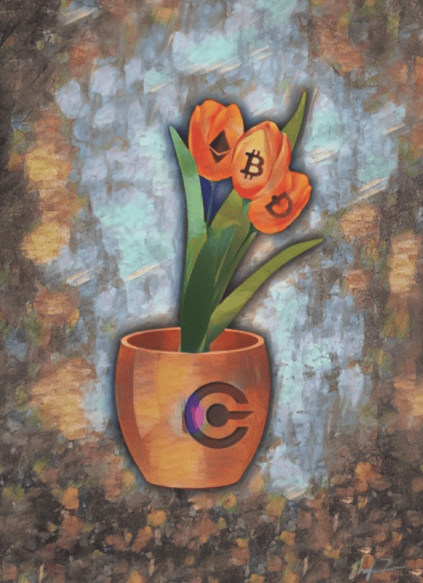 tulips crypto