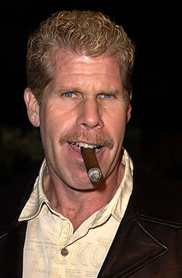 Ron Perlman at the Hollywood premiere of Life as a House